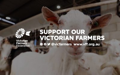 Victorian Farmers Federation, VFF